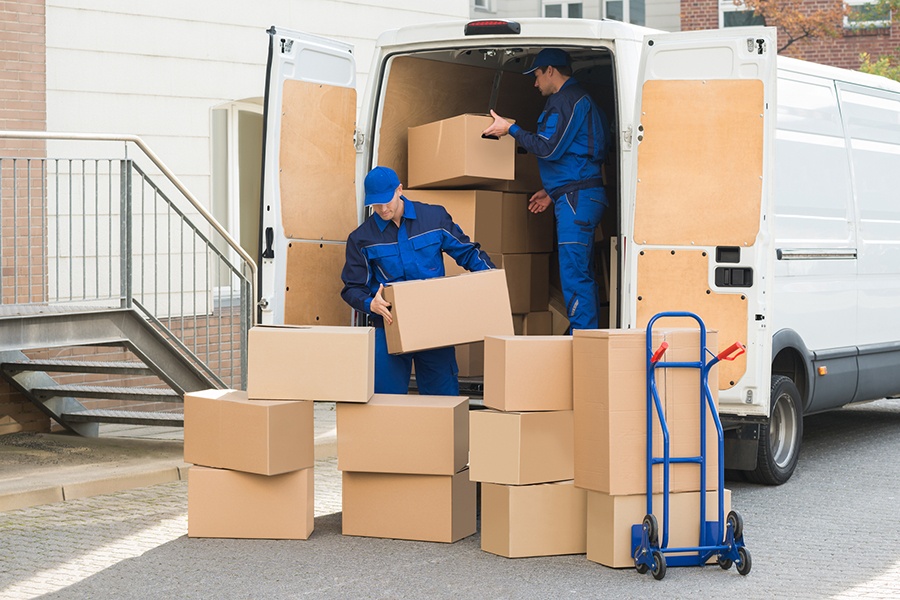Professional Packers and Movers Whitefield